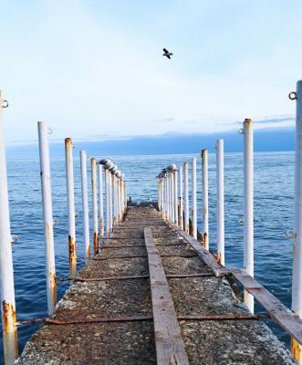 Прикрепленное изображение: photo_2023-02-26_20-47-04.jpg